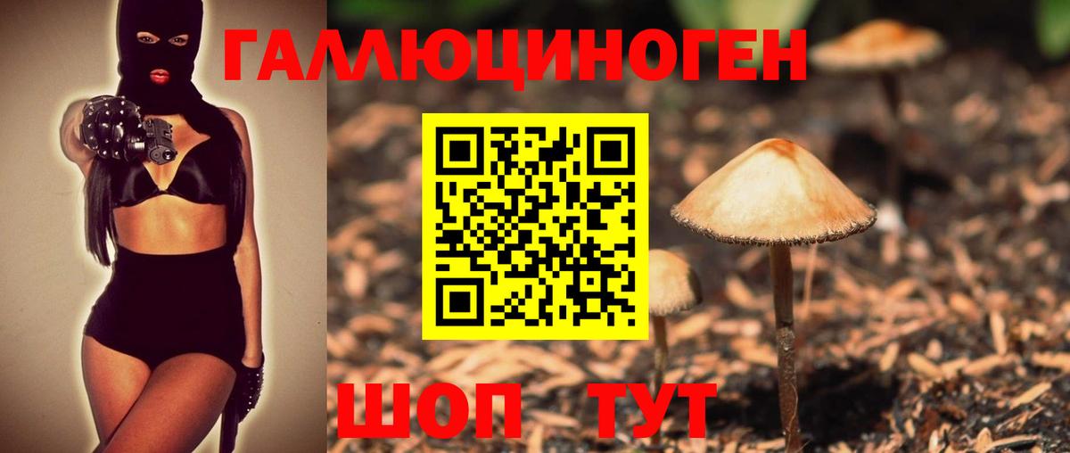 Псилоцибиновые грибы MAGIC MUSHROOMS Краснознаменск